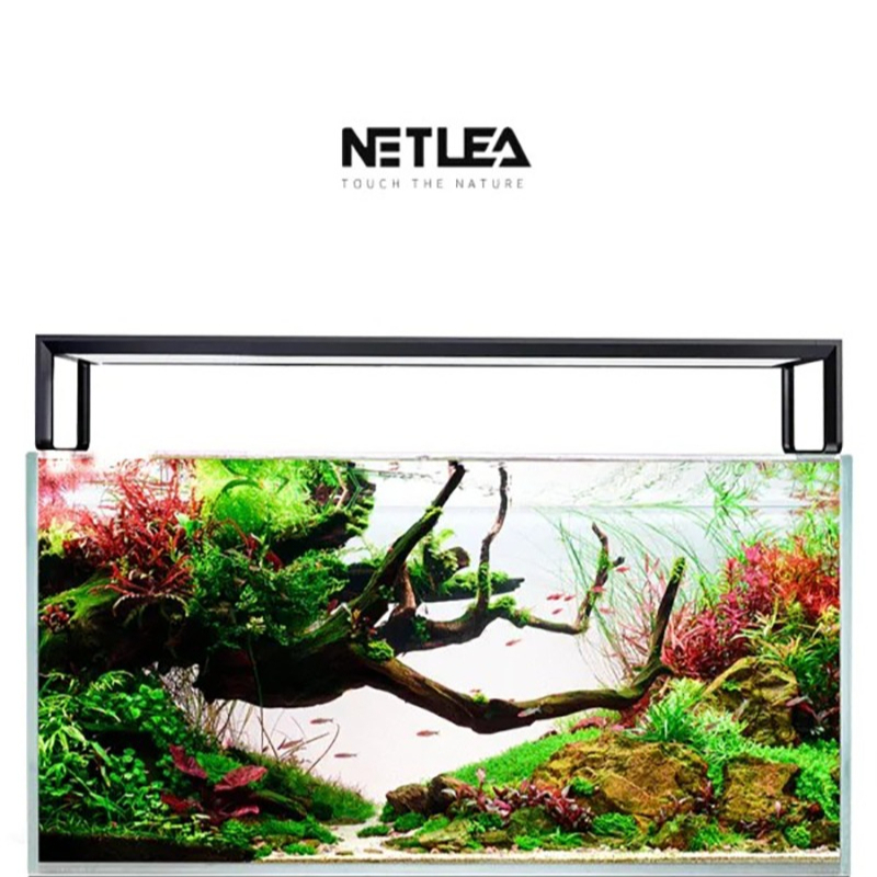 Wifi Led Dimmer - Netlea AT5S V3 Wifi inteligente APP